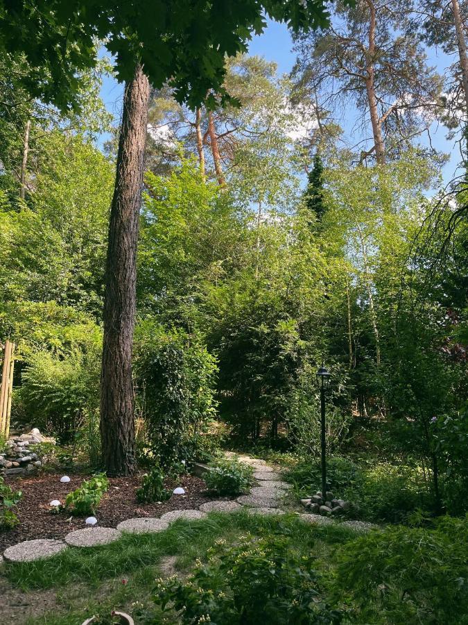 Mimi'S Natuurhuisje Lanaken Kültér fotó