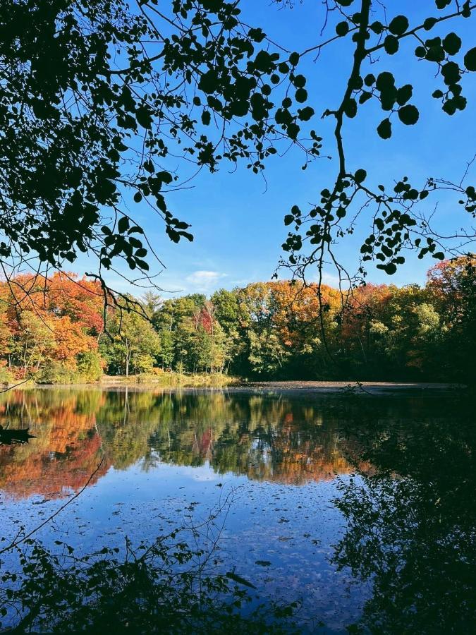 Mimi'S Natuurhuisje Lanaken Kültér fotó